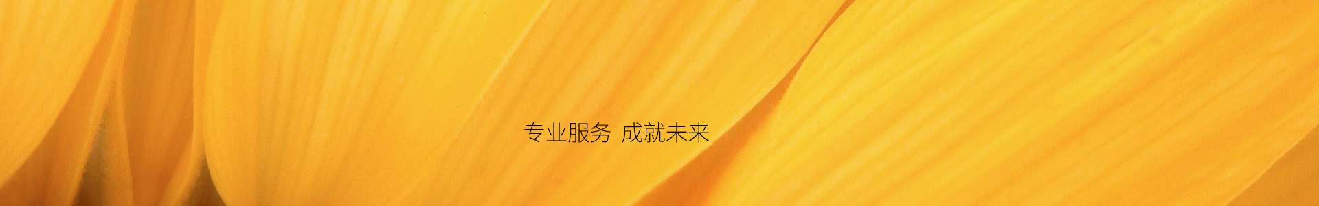 评估流程